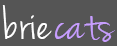 Brie_Cats
